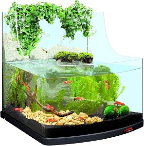 Акватеррариум Sera Reptil Aqua Biotop, 80 л, 51х57×54,5 см