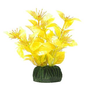 Растение Laguna «Людвигия» ярко-желтая, 100 мм