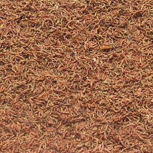 Сушеный мотыль JBL NovoFil для привередливых рыб и&nbsp;черепах, 100&nbsp;мл