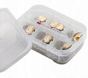 Контейнер EXO TERRA Incubation Box для инкубации&nbsp;яиц