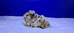 Камень сухой рифовый, цена за 1 кг