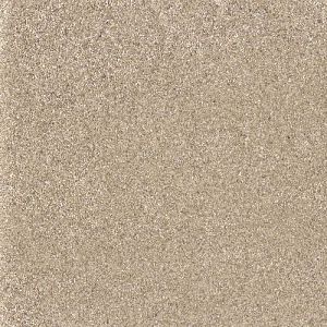 Chinchilla sand clearance