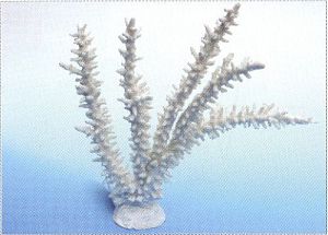 Коралл VITALITY пластик, белый, 34х7×28,5 см  (SH017W)