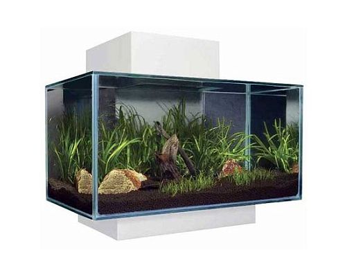 Fluval Edge LED аквариум, 23 л, белый