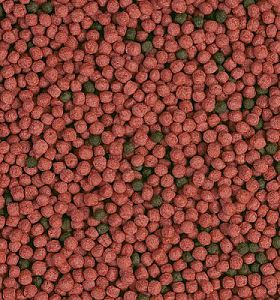 Корм Sera RAFFY BABY GRAN для рептилий, 100&nbsp;мл