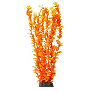 Растение Laguna «Людвигия» ярко-оранжевая, 400 мм