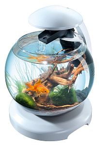 Tetra Cascade Globe аквариум круглый, белый, 6,8 л
