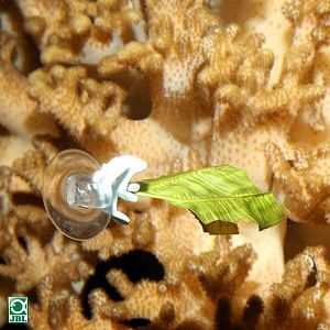 JBL Food Clip универсальный держатель для корма с&nbsp;присоской, 2&nbsp;шт.