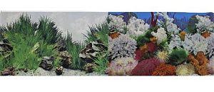 Фон PRIME двусторонний Морской пейзаж/Подводный рельеф, 60&times;150&nbsp;см