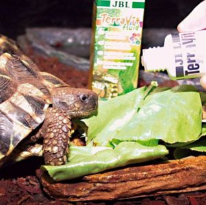 Препарат JBL TerraVit fluid с&nbsp;мультивитаминами для обитателей террариума, эмульсия 50&nbsp;мл