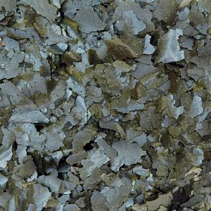 JBL Spirulina корм премиум-класса для пресноводных и&nbsp;морских растительноядных рыб, хлопья 5,5&nbsp;л