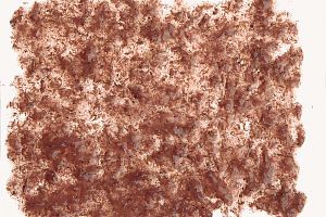 Tetra FreshDelica Brine Shrimps натуральный корм, желе креветка 48 г