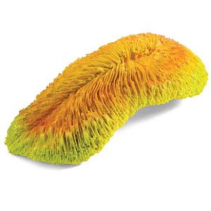 Коралл Laguna искусственный &laquo;Фунгия&raquo;, 205х90&times;60&nbsp;мм