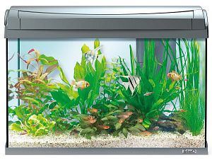 Tetra AquaArt аквариумный комплект, 60 л