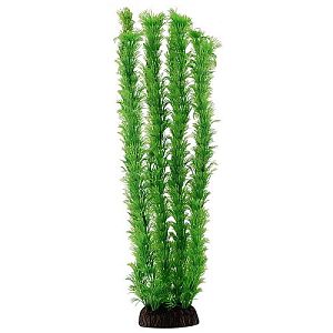 Растение Laguna «Амбулия» зеленая, 400 мм