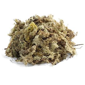 Субстрат Laguna &laquo;Мох сфагнум&raquo;, 100&nbsp;г