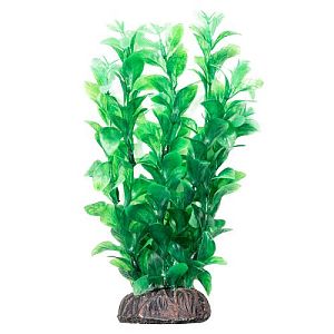 Растение Laguna «Людвигия» зеленая, 200 мм
