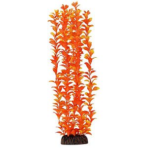 Растение Laguna «Людвигия» оранжевая, 400 мм