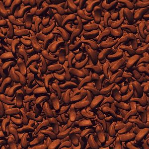 Корм-лакомство JBL ProPond Shrimp M&nbsp;&laquo;Креветки&raquo; для средних карпов кои, 1&nbsp;кг&nbsp; (3&nbsp;л)