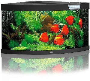 Аквариум JUWEL TRIGON 350 LED угловой с оборудованием, 350л, черный, 123х87х65см