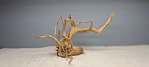 Коряга Сакура М, 30&minus;40&nbsp;см