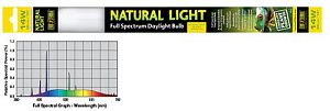 Лампа Exo Terra REPTILE NATURAL LIGHT Т8 слабое излучение, 14 Вт, 38 см