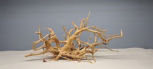 Коряга Сакура М, 30&minus;40&nbsp;см