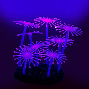 Флуоресцентная декорация GLOXY Анемон, 8.5x7&times;9.5&nbsp;см