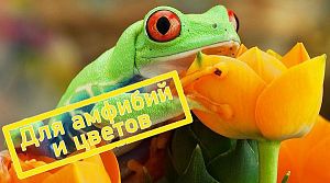 Люминесцентная лампа с&nbsp;УФ&nbsp;Exo Terra Repti Glo 2.0&nbsp;для амфибий, 30&nbsp;Вт, 90&nbsp;см