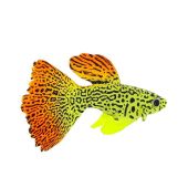 Флуоресцентная аквариумная декорация GLOXY Рыба гуппи на леске, 8х2,5х4,5 см от интернет-магазина STELLEX AQUA