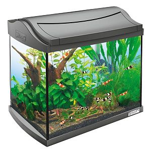Tetra AquaArt Shrimps Discover Line 20l аквариумный комплект, 20 л