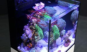 Аквариум с тумбой Red Sea MAX Nano морской, белый, 75 л