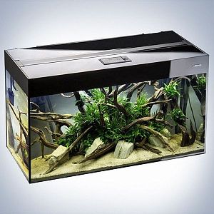 Аквариум Aquael GLOSSY 80&nbsp;D&N черный, с&nbsp;лед-освещением, 125&nbsp;л