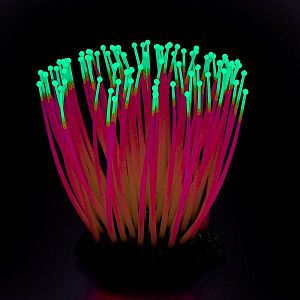 Флуоресцентная аквариумная декорация GLOXY Морской анемон розовый, 9,5×8,5×9 см