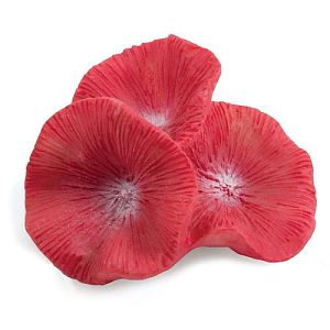 Коралл Laguna искусственный «Бластомусса мини», 56х52×31 мм