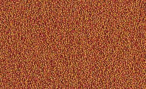 TetraCichlid Colour Mini корм для яркого окраса небольших цихлид, мини мульти шарики 10&nbsp;л