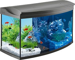 Tetra AquaArt Evolution аквариумный комплект, 100 л