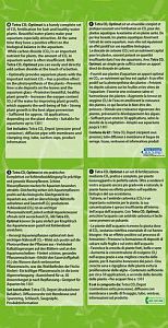 TetraPlant CO2-Optimat набор для обогащения двуокисью углерода