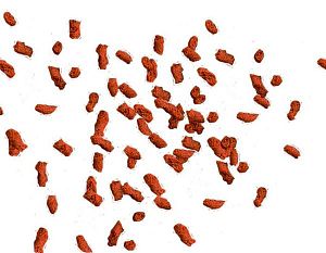 TetraDiskus основной корм для дискусов, гранулы 10&nbsp;л