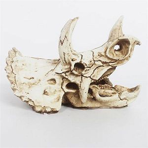 Декорация Nomoy Pet «Череп трицератопса M», 16х8×11 см