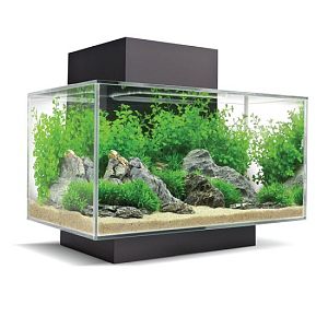 Fluval Edge LED аквариум, 23 л, чёрный