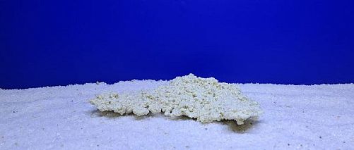 Камень Рифовый Белый, 23х13х4 см, 400 г