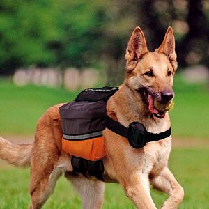Вьючная сумка Ferplast для собак