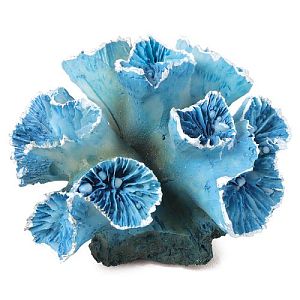 Коралл Laguna искусственный «Кауластрея», синяя, 90х85×50 мм