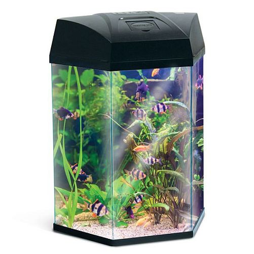 Аквариум AA-Aquariums "Hexagon", 22 л, черный, 330х300х433 мм