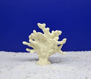 Кр-4900 Коралл Веер Рогатый Белый, 14х7×14 см