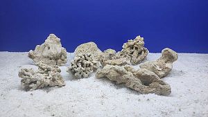 Камень сухой рифовый S, до 10 см, 200−300 г