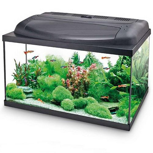 Aquael PAP 150 аквариум прямой, 375 л