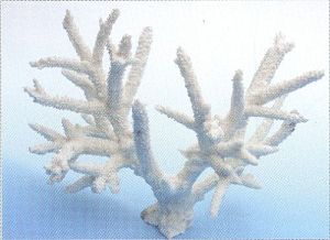 Коралл VITALITY пластик, белый, 26х15×18 см