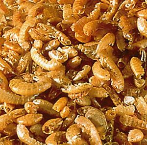 Корм Sera RAFFY I&nbsp;корм для рептилий, 250&nbsp;мл